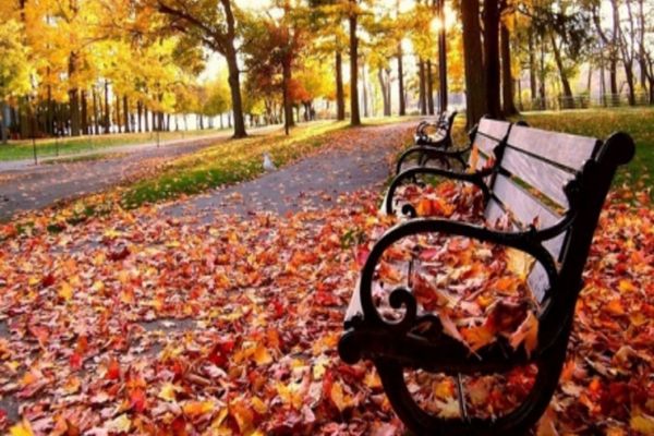 Se schimbă vremea în România. Temperaturile vor fi în scădere