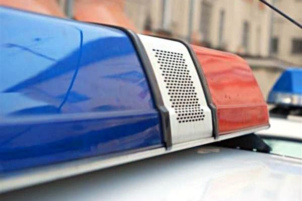 Doi maramureșeni și un sălăjean, cercetați pentru furturi comise în Târgu Lăpuș