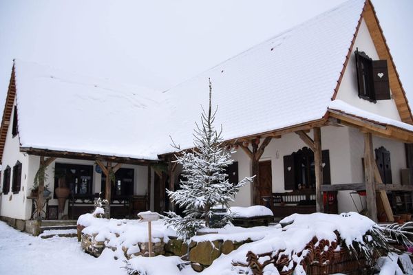 Județul Maramureș, prezență apreciată în cadrul ediției virtuale a Târgului de Turism al României 2021