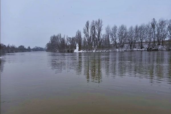 VIDEO: Apele poluate ale râului Băița, au ajuns în Someș, la granița cu Ungaria