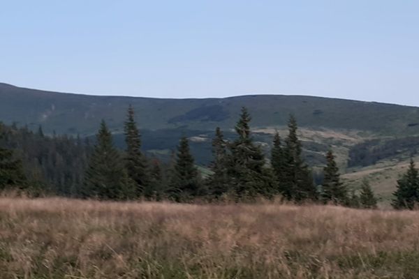 Bărbat din Bistrița-Năsăud, găsit spânzurat lângă o pădure în Maramureș