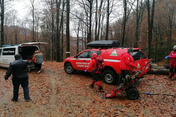 Tragic! Bărbat găsit spânzurat într-o pădure de pe Valea Usturoiului