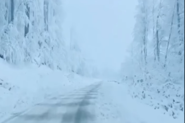Fenomene meteo EXTREME, în România: cod galben de ninsori, vânt puternic și polei