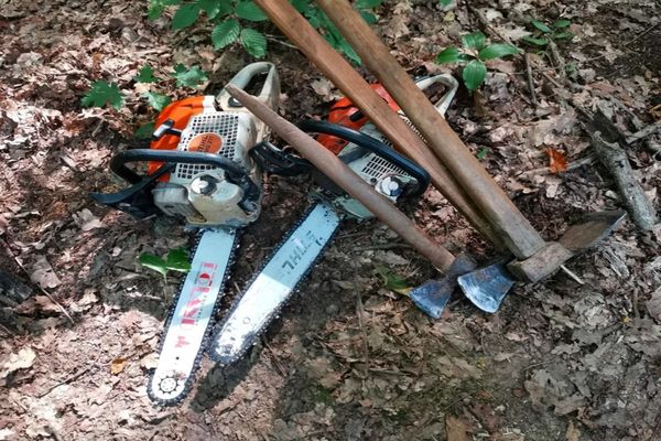 Bărbat din Ruscova, prins că a tăiat ilegal arbori dintr-o pădure! Valoarea lemnului este de peste 15.000 lei