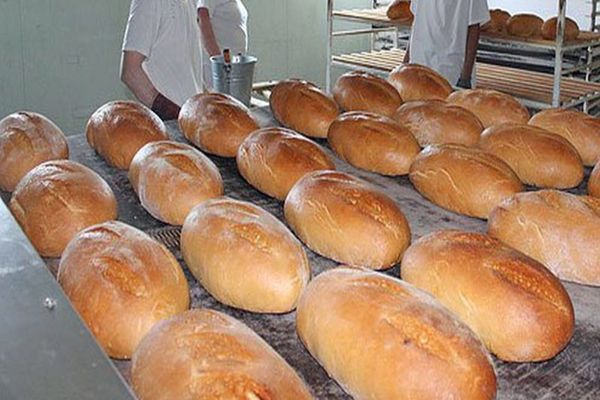 Criză majoră: pâinea tot mai scumpă