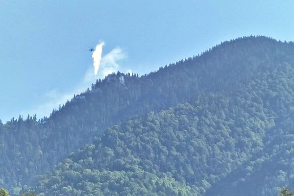 Pompierii militari maramureșeni au intervenit la un incendiu de fond forestier semnalat pe Valea Vaserului