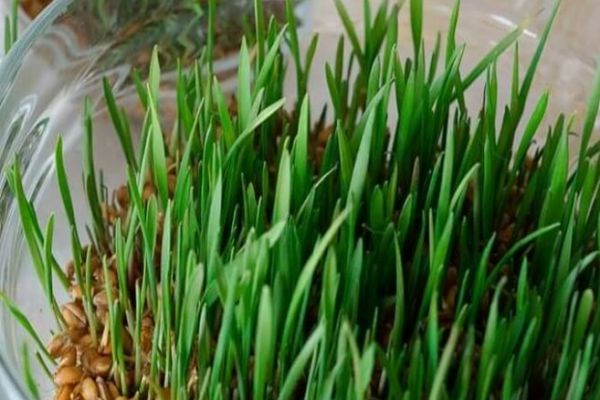 Aproape 950.000 de români își sărbătoresc, astăzi, onomastica