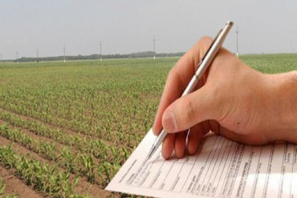 APIA a dat startul Campaniei de primire a Cererilor de Plată pentru anul 2023