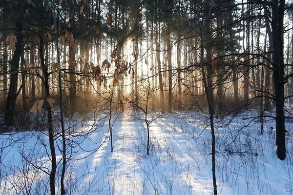 Vreme mai caldă decât în mod obişnuit astăzi