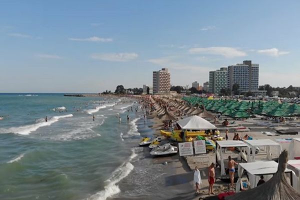 Invazie impresionantă de meduze pe litoral: mii de Aurelia Aurita au apărut în decembrie, spre uimirea specialiștilor