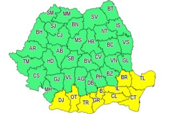 Cod galben de caniculă