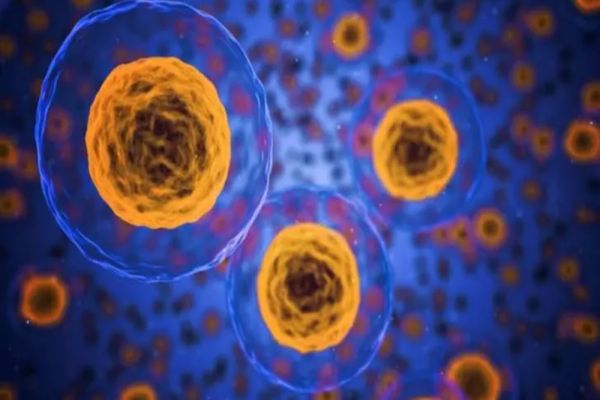 10 alimente care pot să te îmbolnăvească de cancer fără să știi!