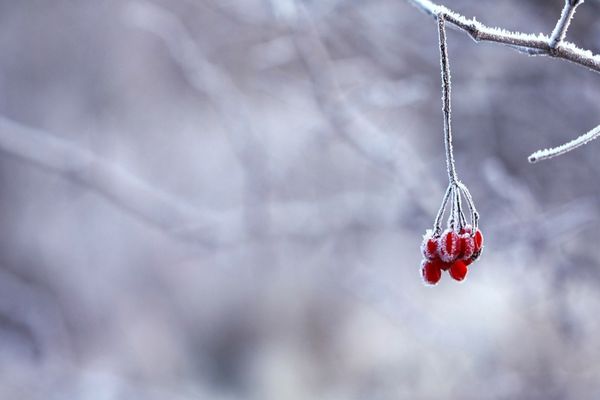 Prognoza meteo. Vremea se încălzește în aproape toată țara