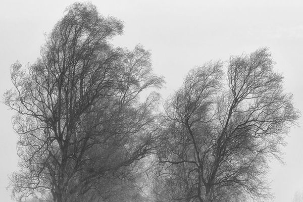 Cod galben de vânt, până miercuri. HARTA cu zonele vizate