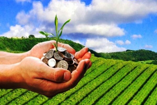 MINISTRUL AGRICULTURII: S-A DECIS ALOCAREA A 578 DE MILIOANE DE LEI SUPLIMENTARE PENTRU INVESTIȚIILE ÎN AGRICULTURĂ