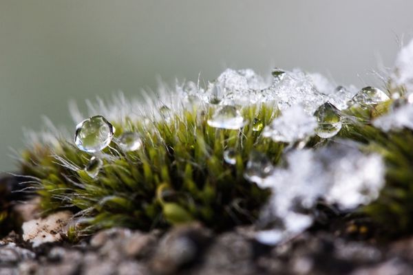 Cum va fi vremea în următoarele două săptămâni. ANM anunță temperaturi de primăvară, apoi răcire bruscă în aceste zone