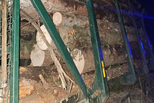 TRANSPORT ILEGAL DE LEMN, OPRIT ÎN BORȘA. CAMIONUL A FOST CONFISCAT