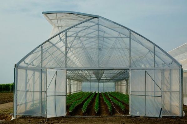 Bolojan, despre taxa pe sere: Se aplică doar celor industriale, nu solariilor din gospodării