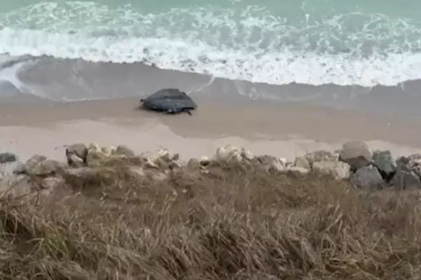 Alertă la malul mării. O dronă a fost descoperită între Tuzla și Costinești VIDEO