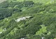 Peste 80 de exemplare de capră neagră au fost identificate în Munții Rodnei