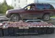 Peste 23.000 pachete cu țigări confiscate la frontiera de nord