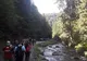 Sfaturile jandarmilor montani maramureșeni pentru a evita atacurile urşilor