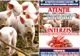 Măsuri pentru prevenirea apariției și extinderii pestei porcine africane în Maramureș
