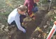Elevii Școlii "Dr. Ioan Mihalyi de Apșa" au participat la ENO Tree Planting Day