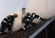 Incendiu în Lăpuș! Victimă o femeie de 20 de ani