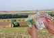 APIA a început plățile către fermierii maramureșeni care și-au depus cereri pentru subvențiile pentru suprafață