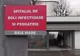 Se caută manager la Spitalul de Boli Infecțioase și Psihiatrie Baia Mare