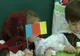 ”Centenar prin suflet de copil”,  un proiect al Grădiniței nr. 9 din Sighetu Marmației