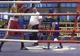 A fost inaugurată sala de sport a Școlii Dr. Ioan Mihalyi de Apșa din Sighetu Marmației