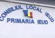 Centenarul, sărbătorit de ieudenii din străinătate