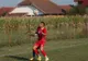 Câștigătoarea Ligii a patra din Maramureș va întâlni campioana Sălajului în barajul de promovare pentru Liga a treia