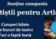 Teatrul Municipal Baia Mare susține campania socială „Artiștii pentru artiști"