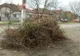 Unde depozităm gunoaiele după curățenia de primăvară