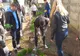 Inițiativă lăudabilă! De la cursuri, la plantat de copaci