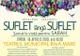 Concert caritabil ”SUFLET LÂNGĂ SUFLET - Șansă la viață pentru Sarah”
