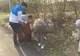 Elevii din Sighetu Marmației au făcut curățenie în mai multe zone din oraș