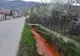 Poluare accidentală cu ape de mină în Baia Mare