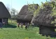 "Școala Altfel" la Muzeul Satului din Baia Mare