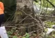 Elicopter prăbușit în Săpânța