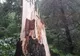 Reportaj: Legenda lui Pintea Viteazul, haiducul legendar al Maramureșului