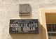 S-au aprobat noile tarife de școlarizare la Secția Școala Populară de Artă ”Liviu Borlan”