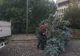 Copaci prăbușiți în Baia Mare! Cod galben de inundații