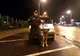IPJ MARAMUREȘ: Vis este câinele polițist al zilei