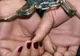 Condusă la sediul poliţiei după ce a sustras bani dintr-o casă de marcat