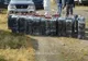 Ţigări de contrabandă de peste 150.000 lei, confiscate de poliţişti