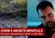 Solidari cu pădurarii! Petiție pentru o anchetă imparțială